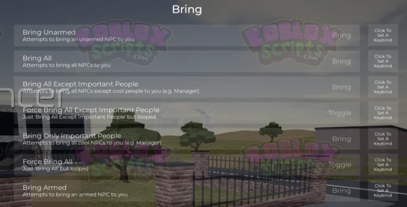 Entry Point INFILSENSE EP FREE ADMIN COMMANDS GUI - DEC 2024