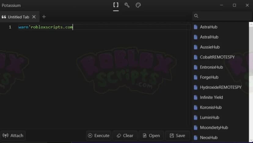 POTASSIUM | PAID LIFETIME | ROBLOX WINDOWS 11 EXECUTOR/EXPLOIT | $21.99 USD