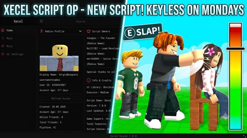 Xecel OP features