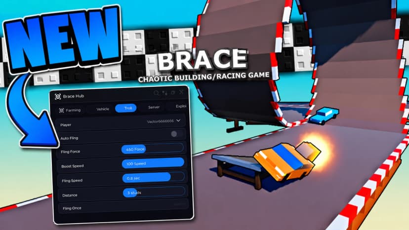 Brace Hub - Auto Farm - Fling - Desync - ETC
