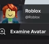 Local Username Hider