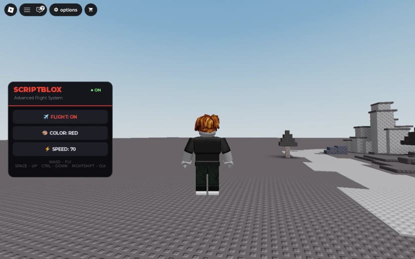 ScriptBlox Flight Script (works in almost all games)
