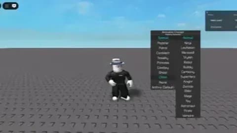 Animation Changer
